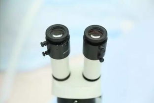 9月新疆，您不得不知的五大看點與保健器械建議